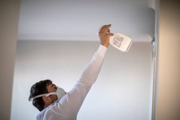 Best Mold Remediation  in Kewaunee, WI