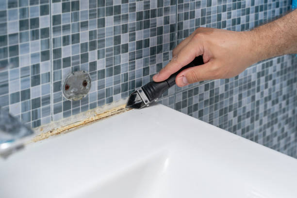 Best Mold Testing  in Kewaunee, WI