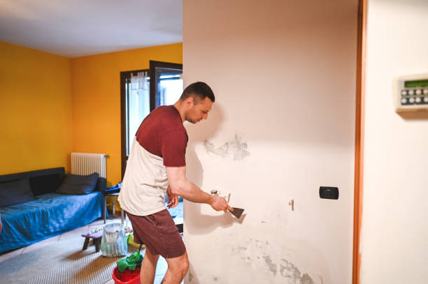 Best Home Mold Removal  in Kewaunee, WI